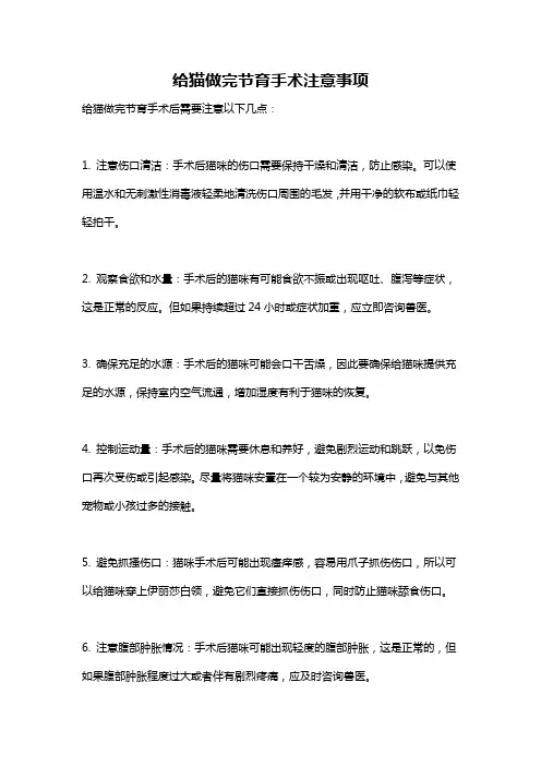 给猫做完节育手术注意事项