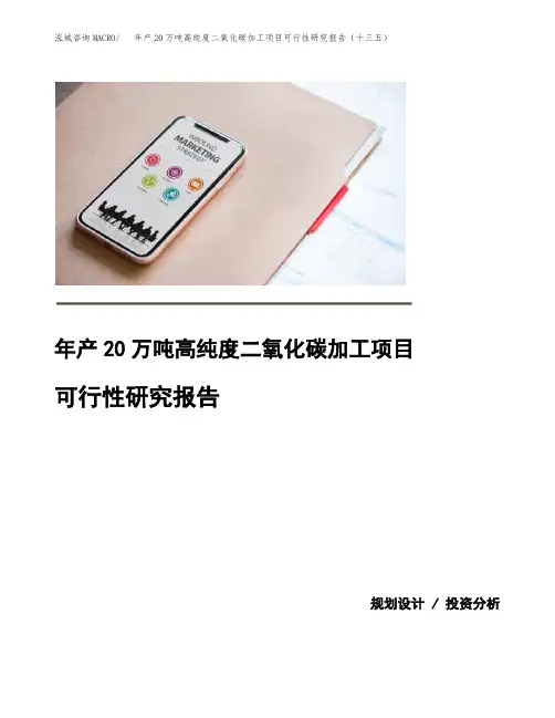 年产20万吨高纯度二氧化碳加工项目可行性研究报告(十三五)