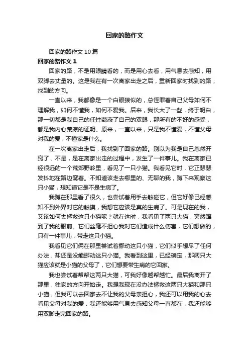 回家的路作文