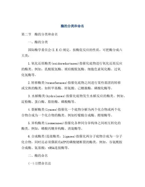 酶的分类和命名
