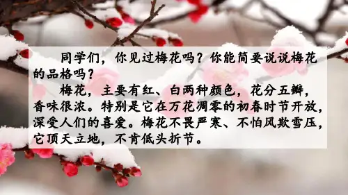 部编人教版五年级语文下册《梅花魂》完整课件