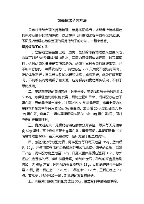 饲养信鸽子的方法