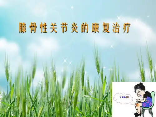 《关节炎康复》幻灯片PPT
