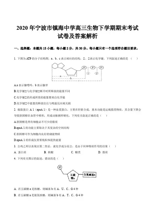 2020年宁波市镇海中学高三生物下学期期末考试试卷及答案解析