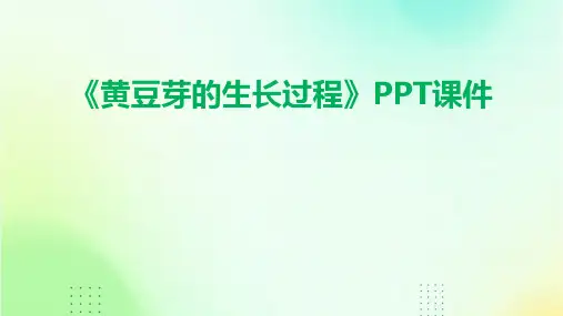《黄豆芽的生长过程》PPT课件