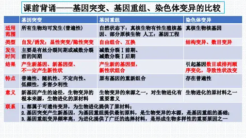 【课件】高三生物一轮复习课件：染色体变异