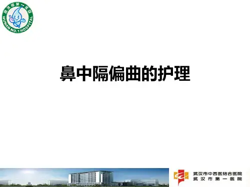 鼻中隔偏曲的护理ppt课件