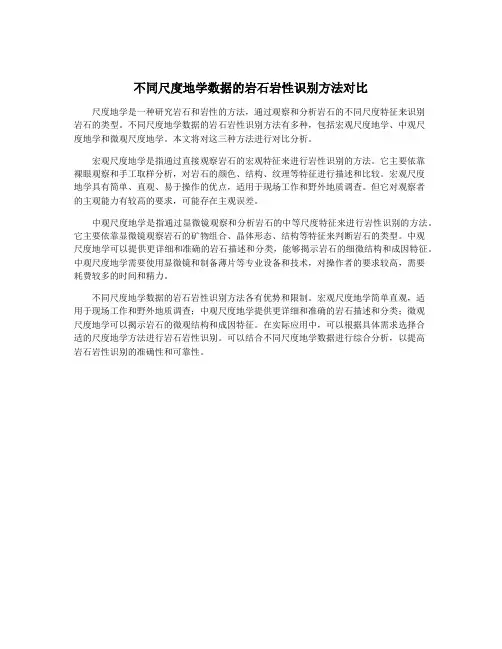 不同尺度地学数据的岩石岩性识别方法对比