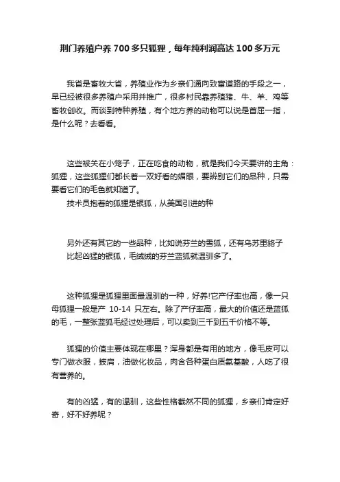 荆门养殖户养700多只狐狸，每年纯利润高达100多万元