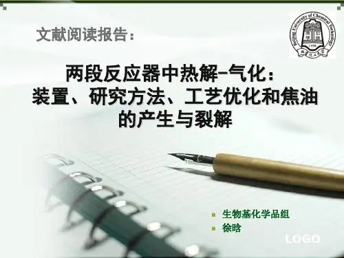 文献阅读阶段性汇报-34页PPT资料