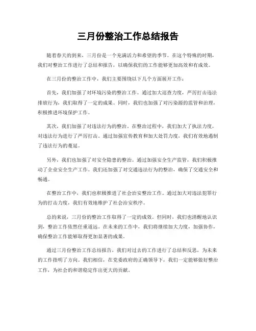 三月份整治工作总结报告