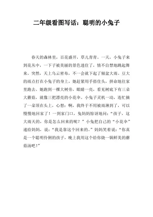 二年级看图写话：聪明的小兔子