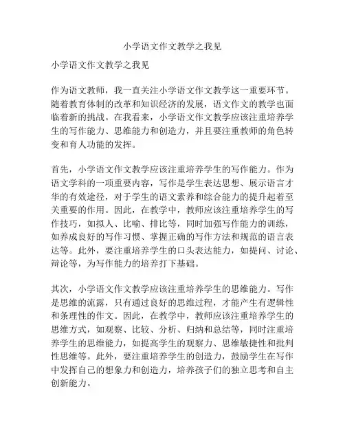 小学语文作文教学之我见