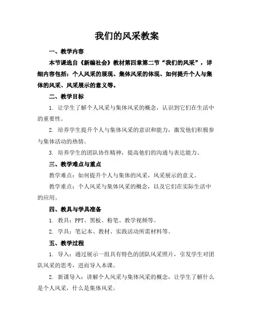 我们的风采教案