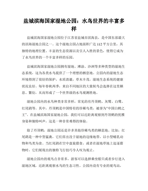 盐城滨海国家湿地公园：水鸟世界的丰富多样