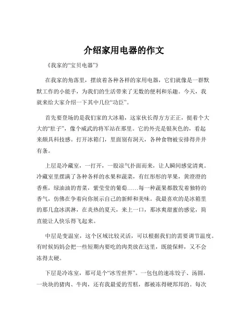 介绍家用电器的作文