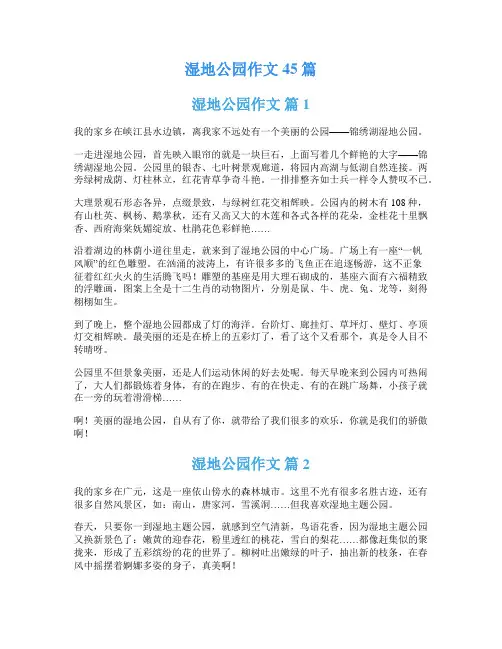 湿地公园作文45篇