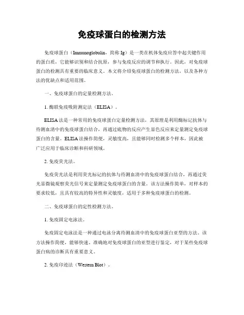 免疫球蛋白的检测方法