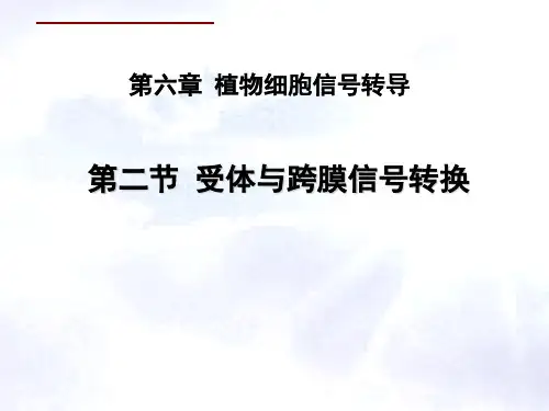 植物细胞受体与跨膜信号转换