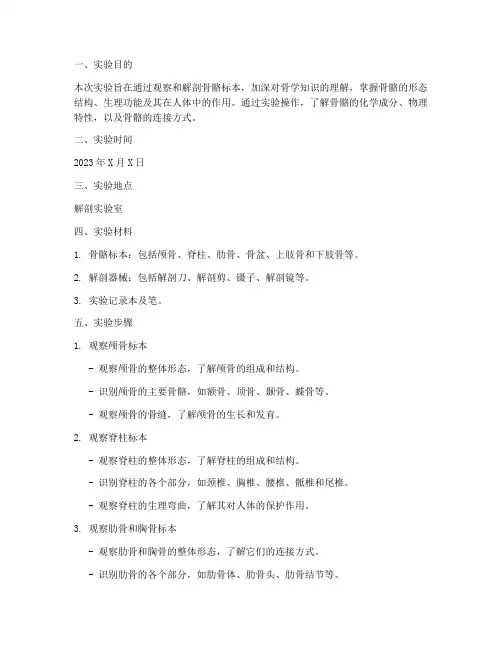关于骨学的实验报告