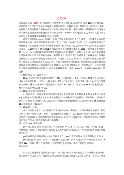 清洁发展机制(CDM)