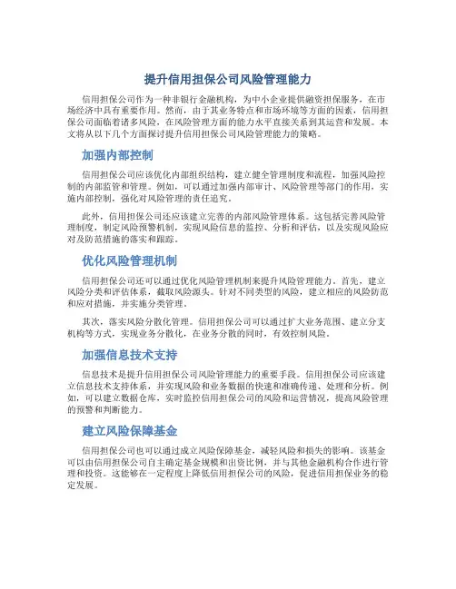 (简体)提升信用担保公司风险管理能力
