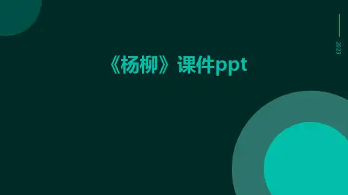 《杨柳》课件ppt