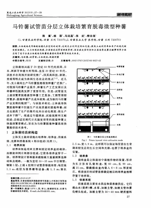 马铃薯试管苗分层立体栽培繁育脱毒微型种薯