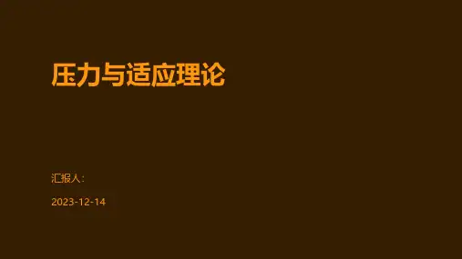 压力与适应理论