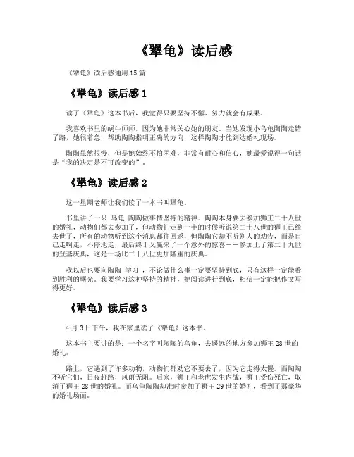 《犟龟》读后感