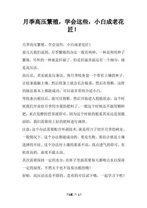 月季高压繁殖,学会这些,小白成老花匠!