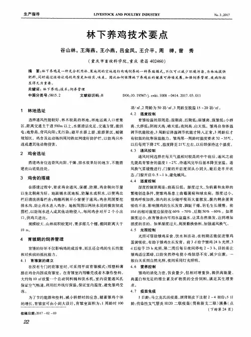 林下养鸡技术要点