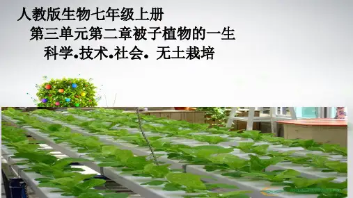 人教版七年级上册生物《科学技术社会 无土栽培》(一等奖课件)