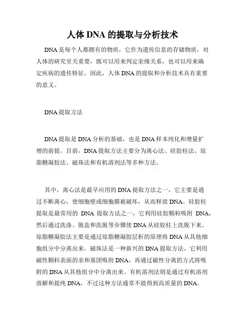 人体DNA的提取与分析技术