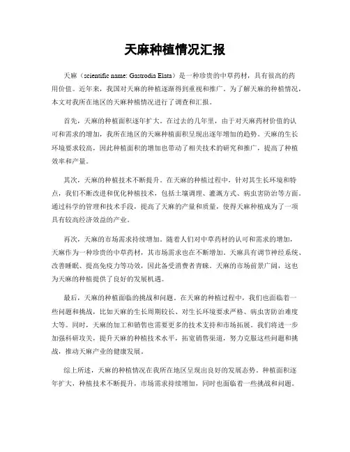 天麻种植情况汇报