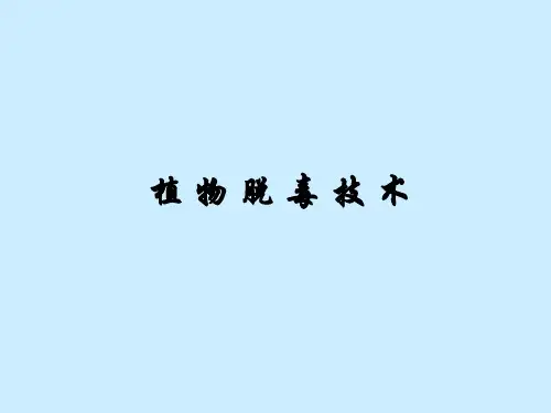 【生物技术】第八讲 (1)植物脱毒技术