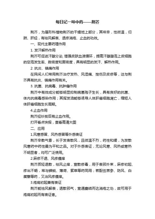 每日记一味中药——荆芥