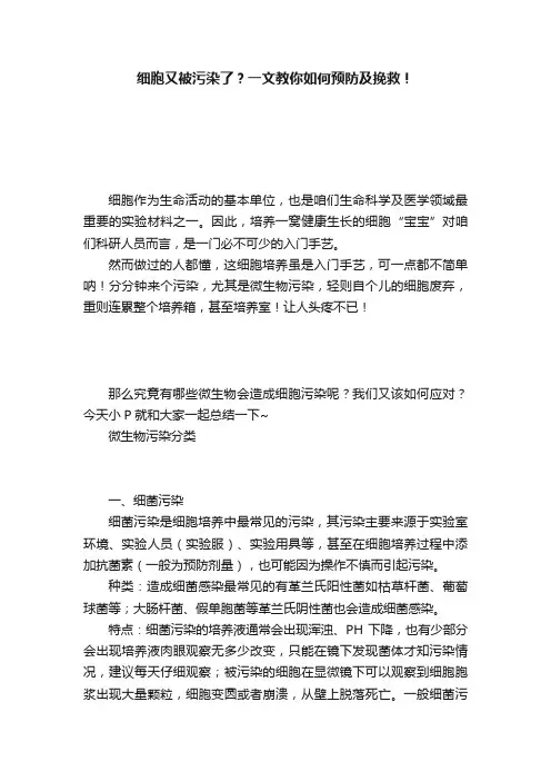 细胞又被污染了？一文教你如何预防及挽救！