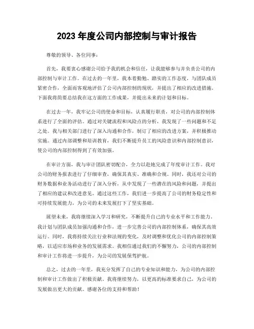 2023年度公司内部控制与审计报告