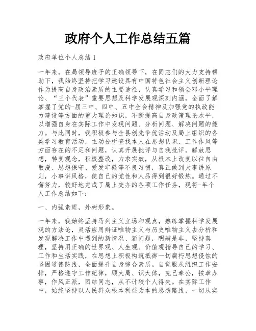 政府个人工作总结五篇