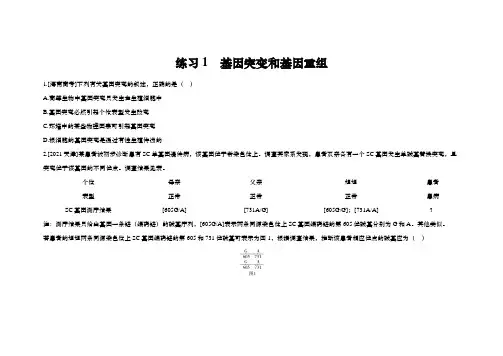 2025年高中生物学一轮复习练习：第七章 生物的变异和进化 练习1 基因突变和基因重组(含解析)
