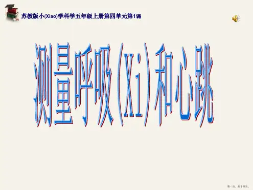 苏教版科学五年级上册《测量呼吸和心跳》课件PPT8