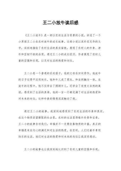 王二小放牛读后感