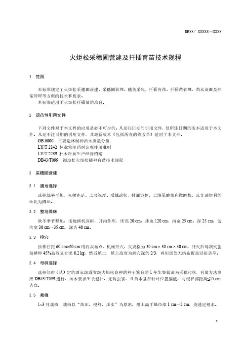火炬松采穗圃营建和扦插育苗技术规程