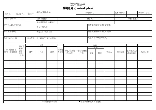 控制计划(control plan)