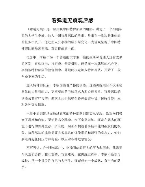 看弹道无痕观后感
