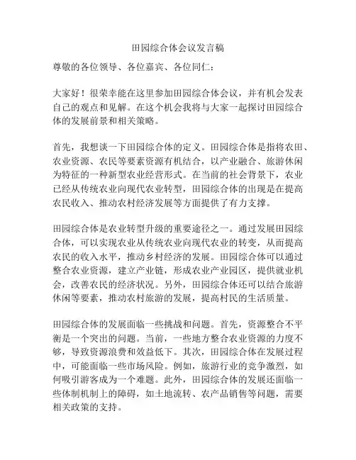 田园综合体会议发言稿