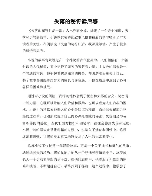 失落的秘符读后感