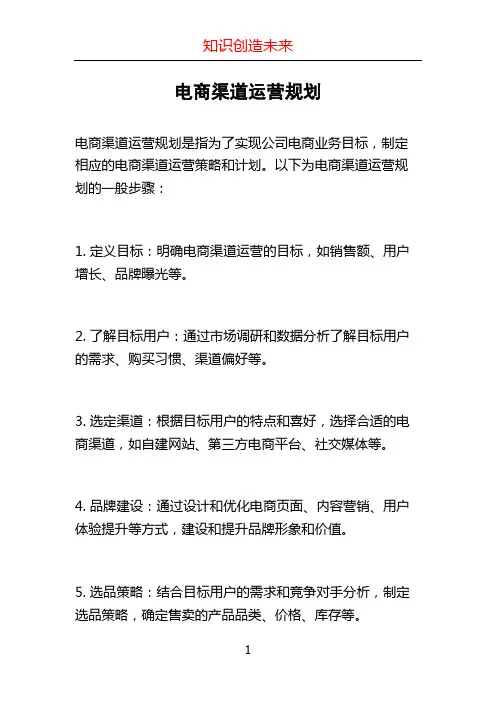电商渠道运营规划