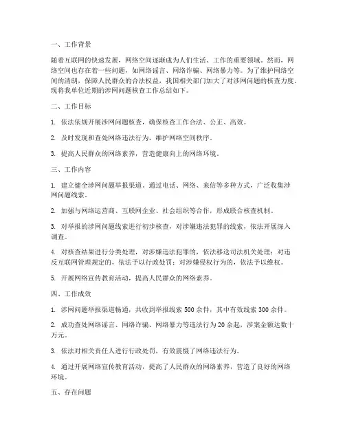 涉网问题核查工作总结报告